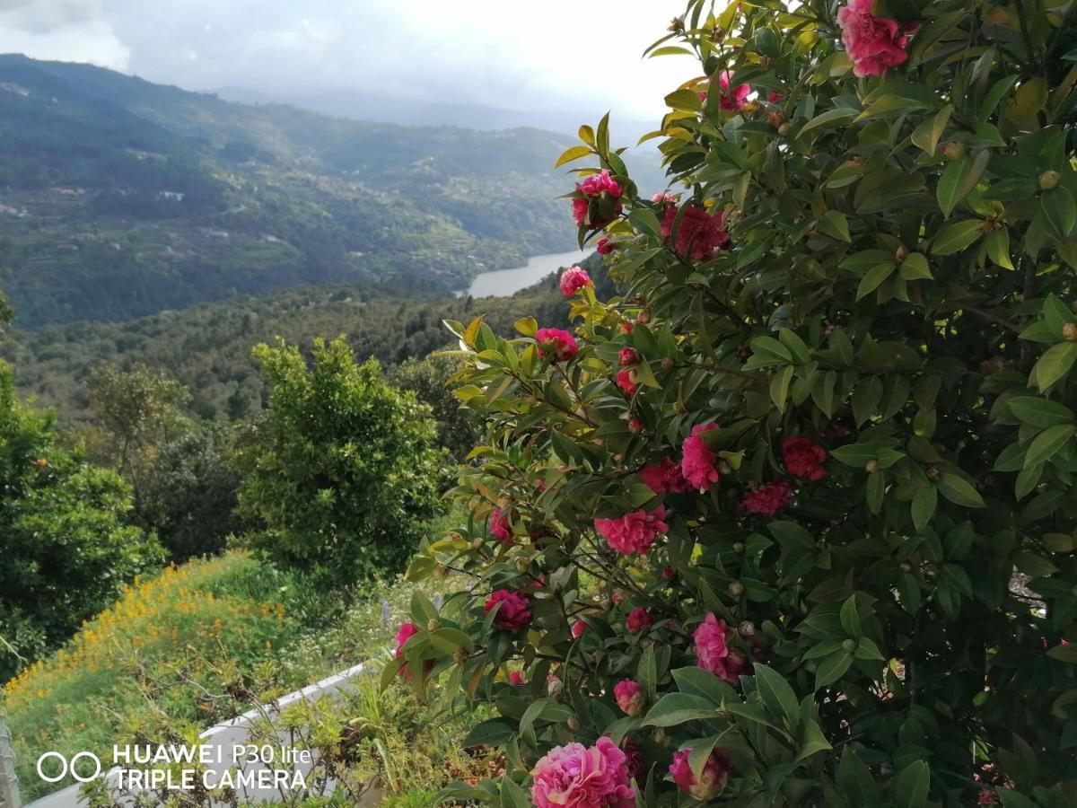 바이아오 Casa Douro Terrace 빌라 외부 사진